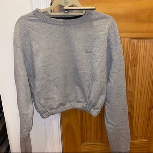 Champion Crop Gray Sweater